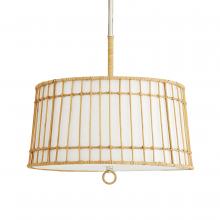 Arteriors Home DW49001 - Sea Island Pendant