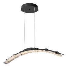 Hubbardton Forge 137586-LED-STND-89-ZM0749 - Glissade Large LED Pendant