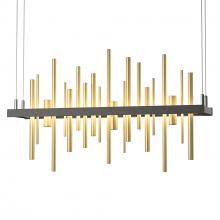 Hubbardton Forge 139725-LED-STND-20-86 - Cityscape LED Pendant