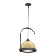 Hubbardton Forge 187462-SKT-MULT-14-86 - Atlas Small Pendant